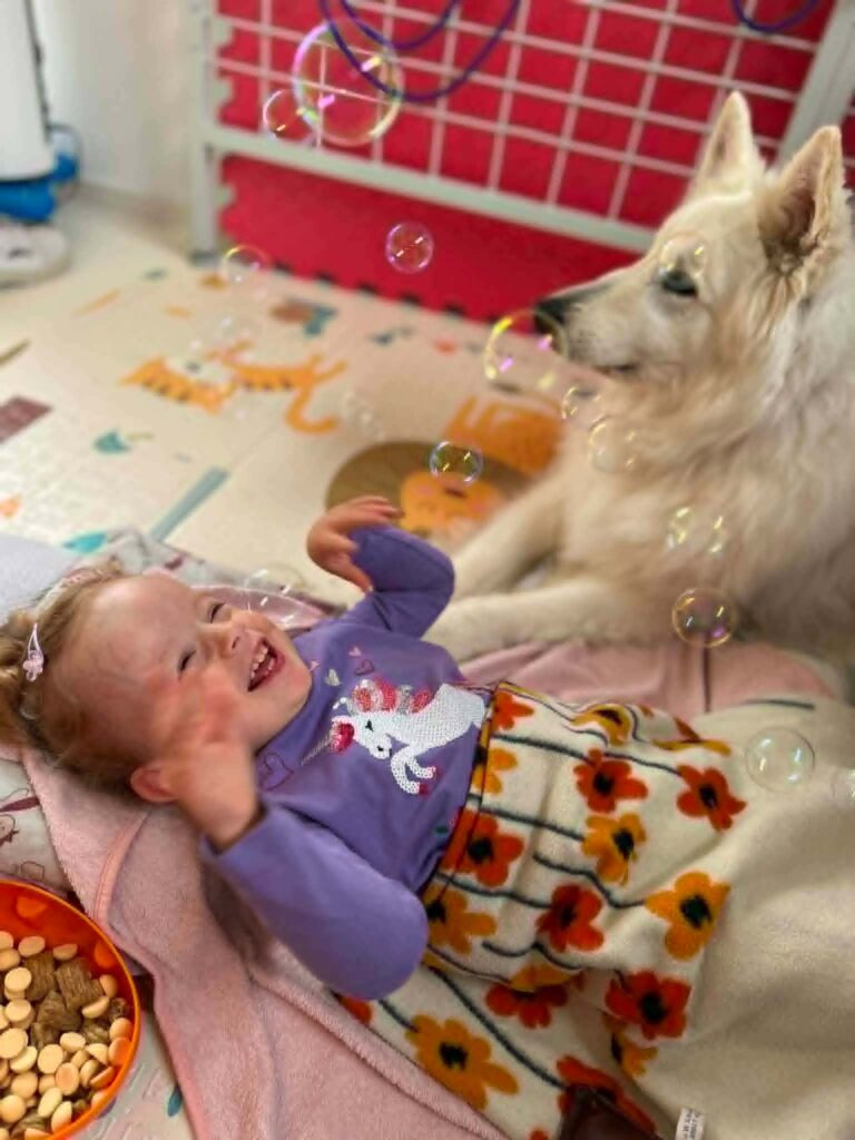 physiocanis-07-2026-033