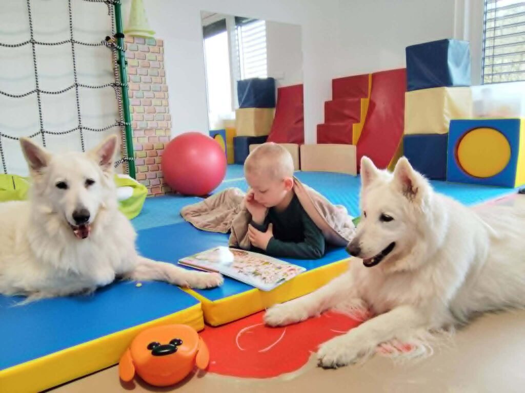 physiocanis-07-2026-058